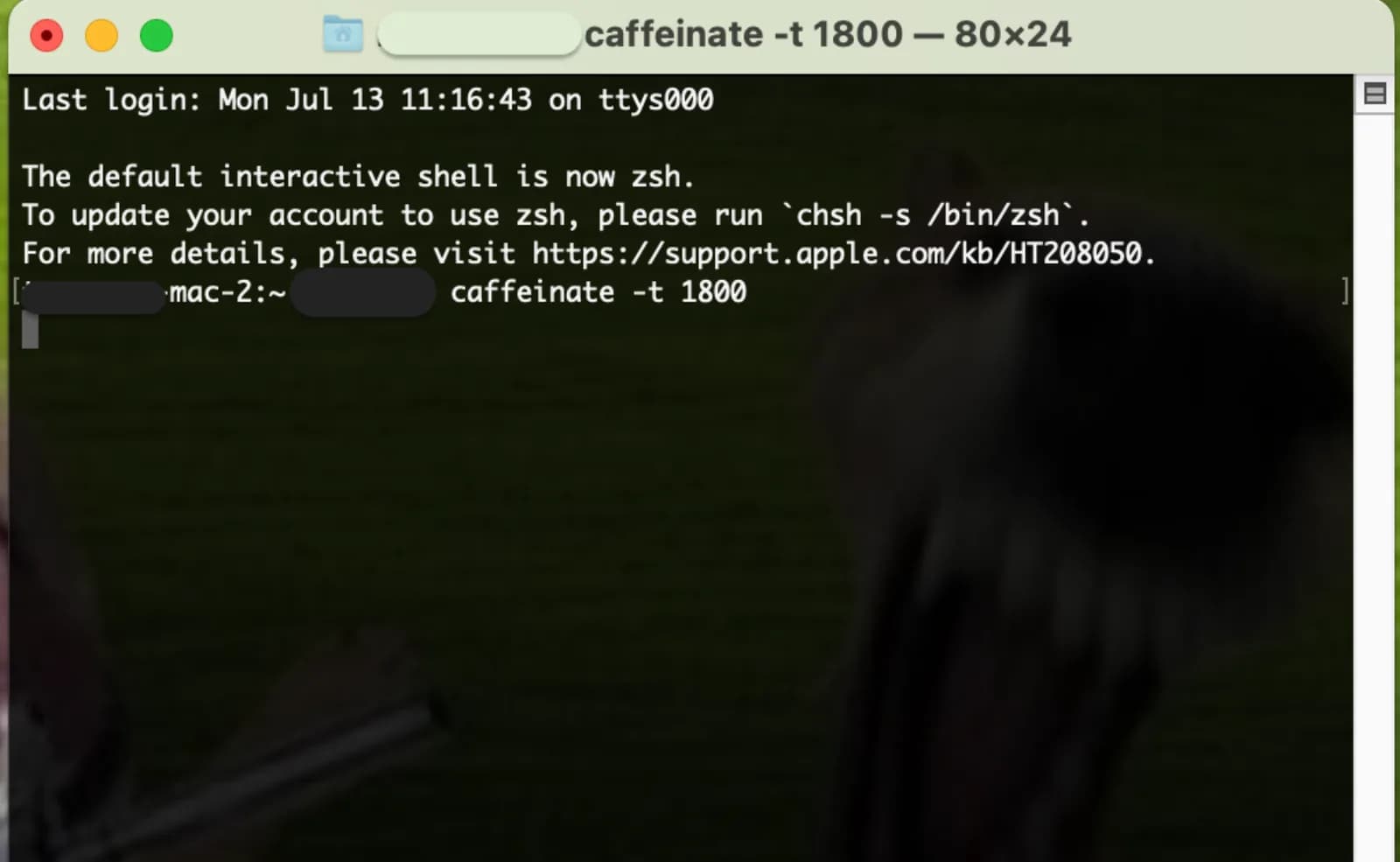 Terminal showing caffeinate -i -w Terminal showing caffeinate -i -w and sudo pmset disablesleep 1/0 commands used to keep a Mac awake for a process or with the lid closed